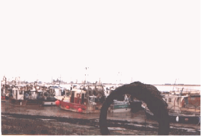 Bateaux de pche dans le port de Paimboeuf.